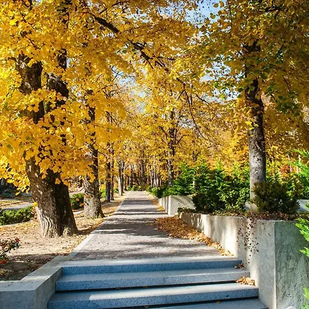 верховина - Verkhovyna Medical & Wellness 5* Kamenitsa