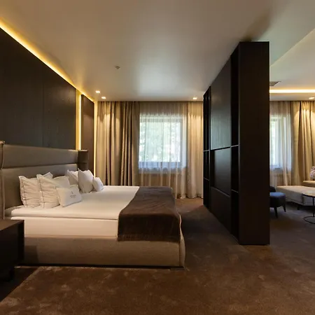 Verkhovyna Medical & Wellness 5* Kamenitsa