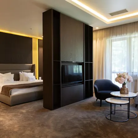 Verkhovyna Medical & Wellness Hotel