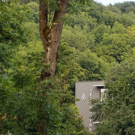 верховина - Verkhovyna Medical & Wellness Hotel 5*