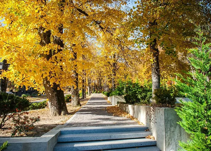 верховина - Verkhovyna Medical & Wellness 5* Kamenitsa