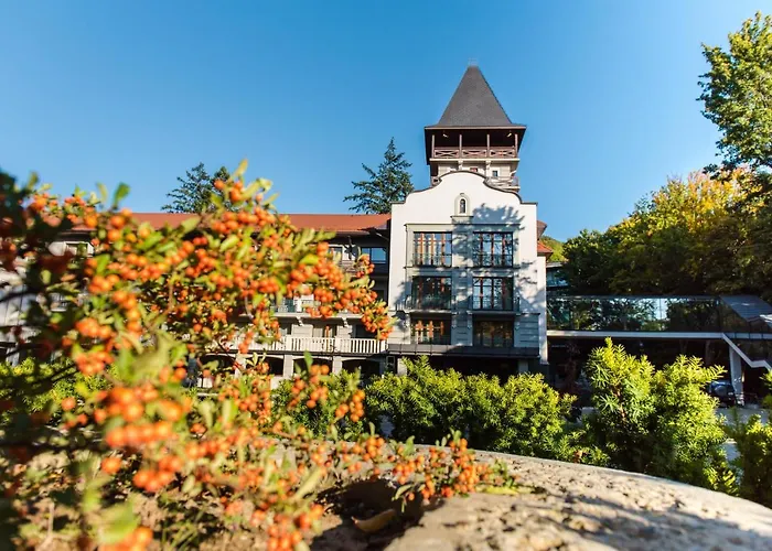 верховина - Verkhovyna Medical & Wellness 5*