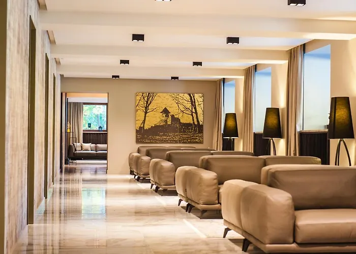 верховина - Verkhovyna Medical & Wellness 5*