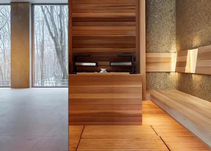 Otel верховина - Verkhovyna Medical & Wellness Kamenitsa