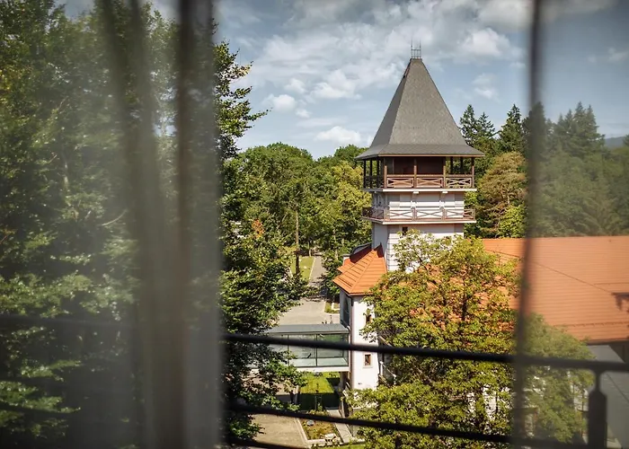 верховина - Verkhovyna Medical & Wellness 5*