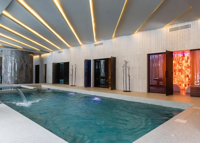 酒店 верховина - Verkhovyna Medical & Wellness Kamenitsa