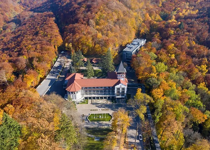 верховина - Verkhovyna Medical & Wellness Kamenitsa
