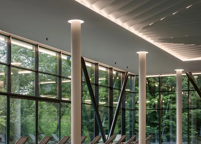 верховина - Verkhovyna Medical & Wellness 酒店