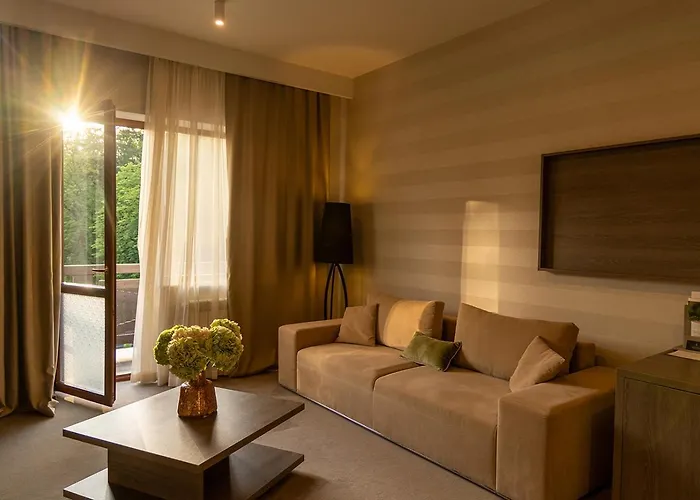 酒店 верховина - Verkhovyna Medical & Wellness 5*