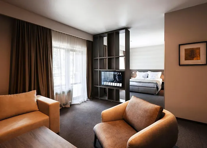 верховина - Verkhovyna Medical & Wellness 5* Kamenitsa