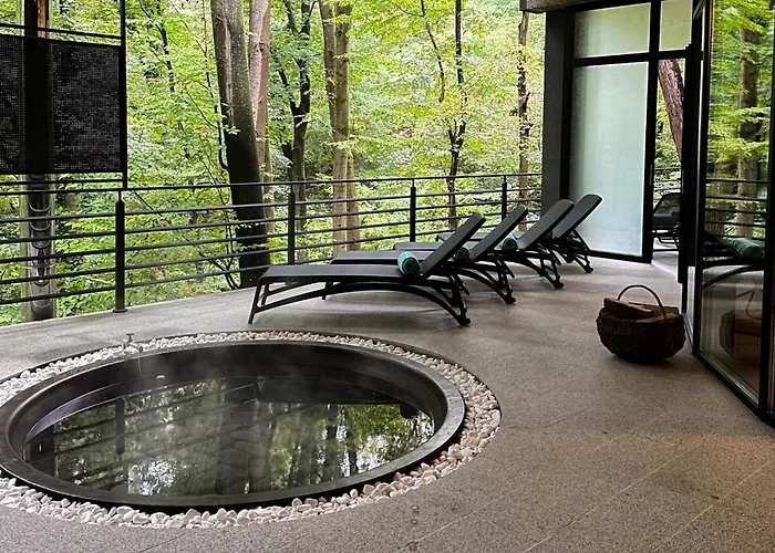 Otel верховина - Verkhovyna Medical & Wellness Kamenitsa