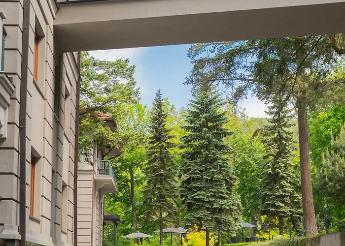 верховина - Verkhovyna Medical & Wellness 5*
