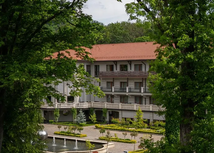 верховина - Verkhovyna Medical & Wellness 5* Kamenitsa