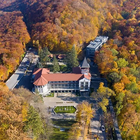 Verkhovyna Medical & Wellness Kamenitsa