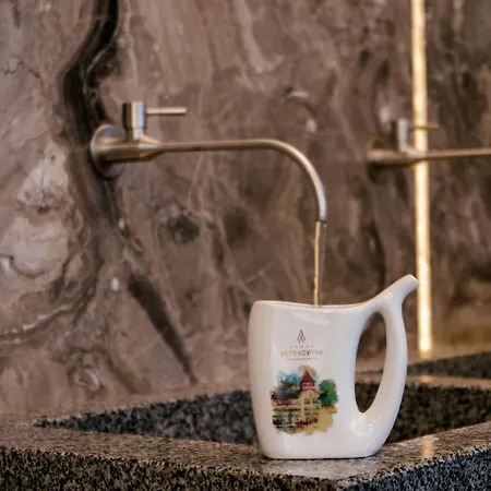 верховина - Verkhovyna Medical & Wellness 酒店