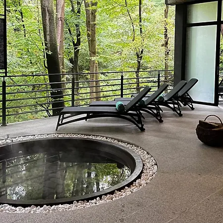 酒店 верховина - Verkhovyna Medical & Wellness Kamenitsa
